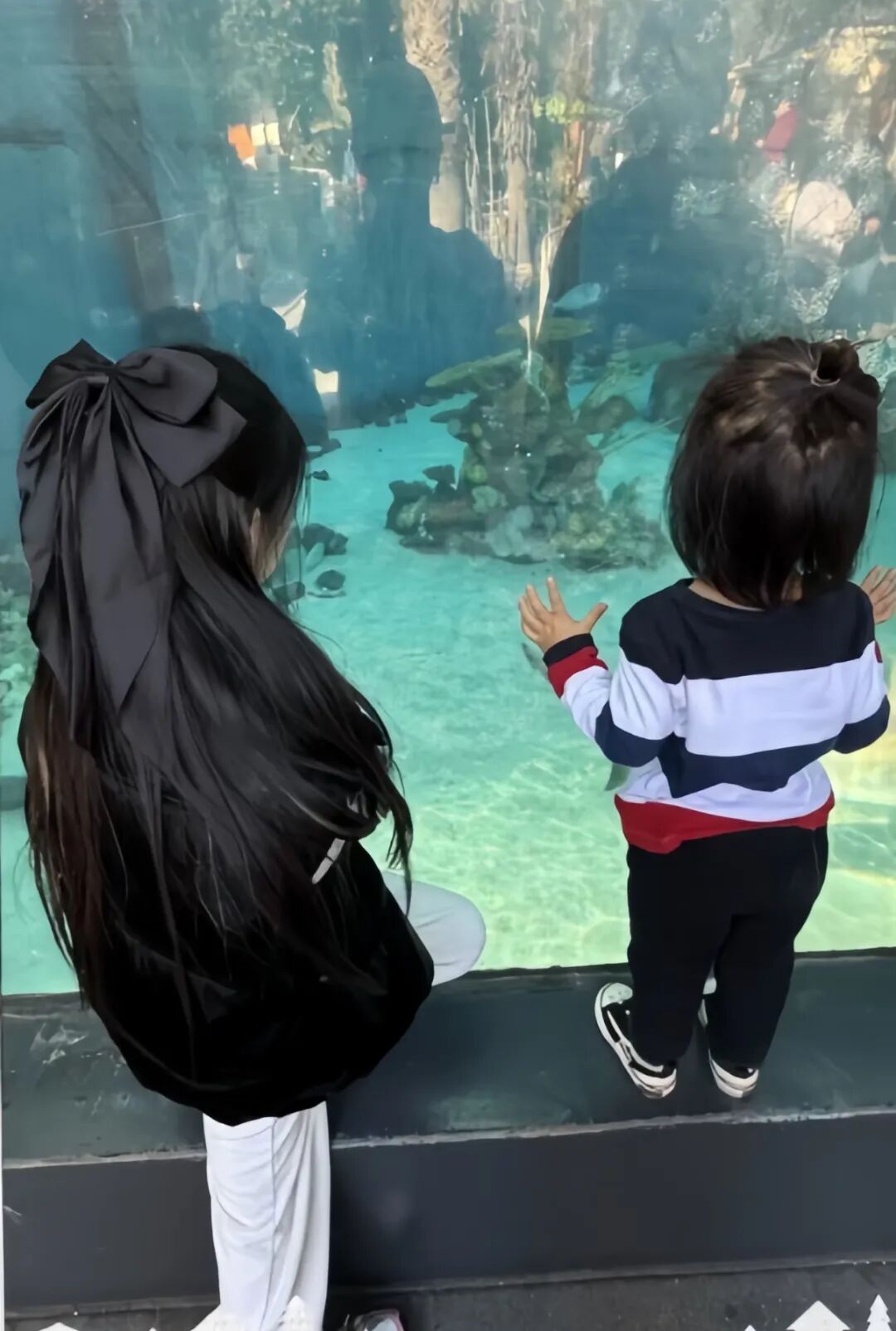 李承铉和李乐琪的综艺__李承铉李乐祺