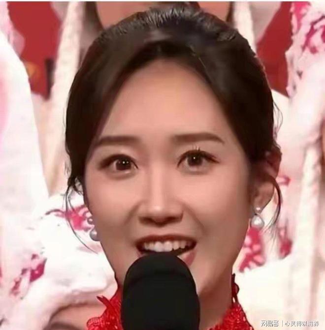 _春晚男主持名单_北京卫视春晚主持名单