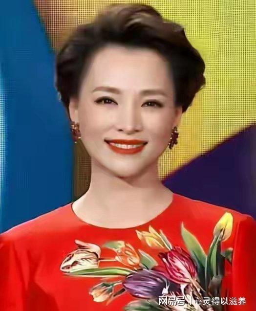 春晚男主持名单_北京卫视春晚主持名单_