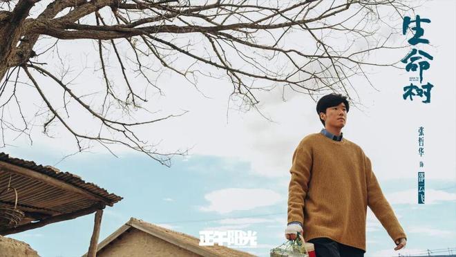 生儿子继承家产_结婚生子继承单机游戏_