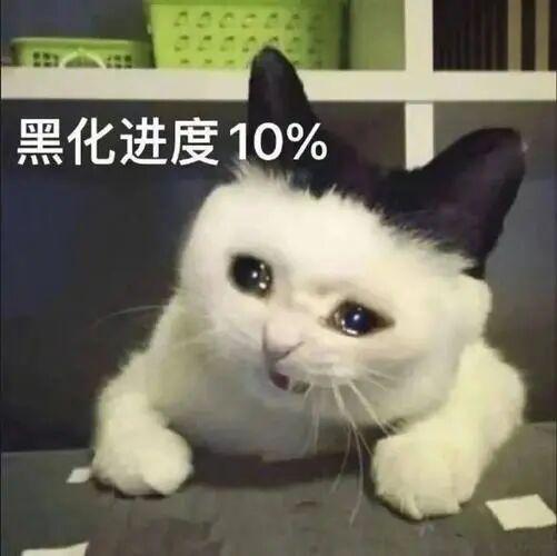 知名女主持抢影后未婚夫的瓜_知名女主持抢影后未婚夫的瓜_