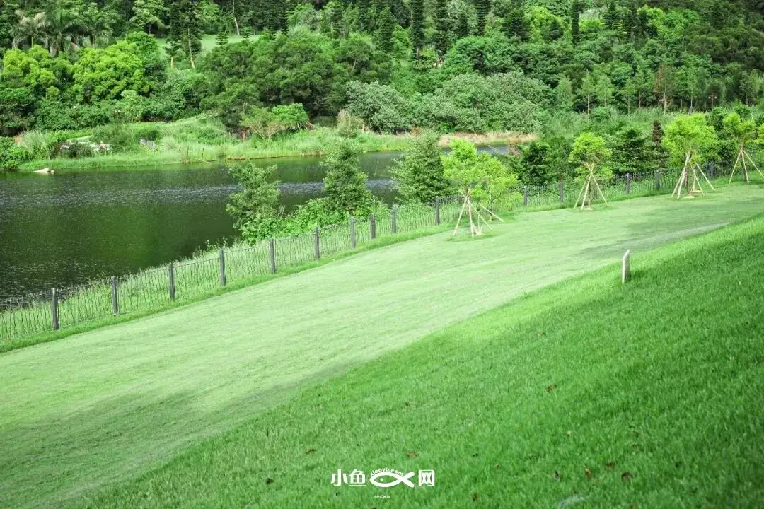 望山看海、野餐踏青……厦门这个有“小瑞士”之称的公园有多好逛？