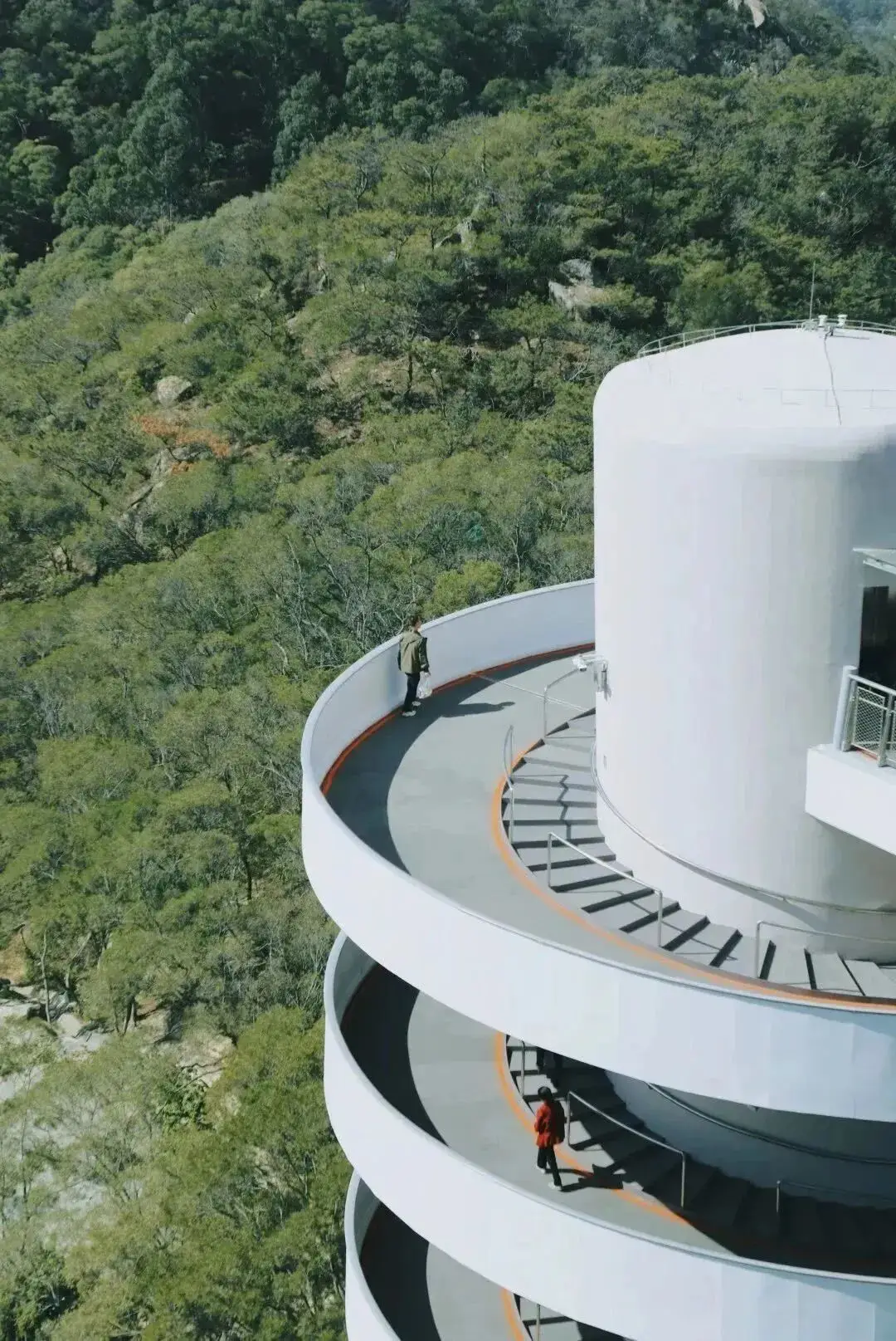 _厦门踏青赏花_厦门踏青好去处