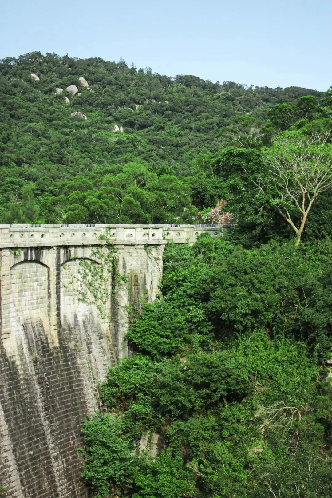 厦门踏青赏花__厦门踏青好去处