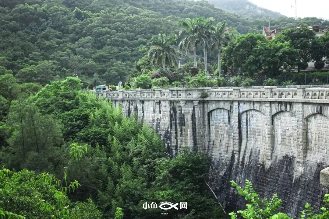 厦门踏青赏花__厦门踏青好去处