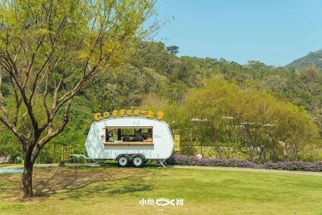 厦门踏青好去处_厦门踏青赏花_