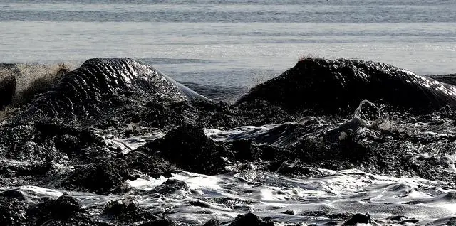 钱塘江潮水方向_钱塘江大潮的方向_