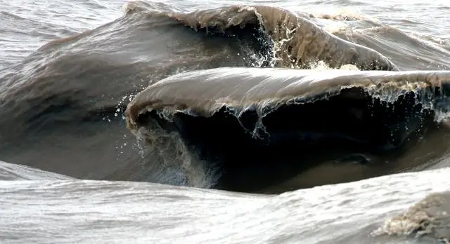 钱塘江潮水方向_钱塘江大潮的方向_