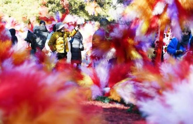 _雅致人生（北京）科技有限公司_新年新春新气象