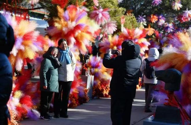 新年新春新气象_雅致人生（北京）科技有限公司_