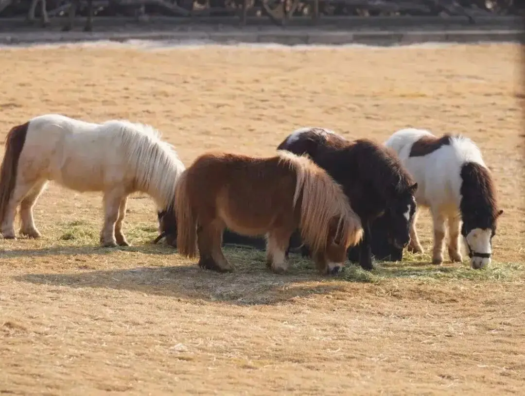_海岸旅游_海岸线旅游攻略