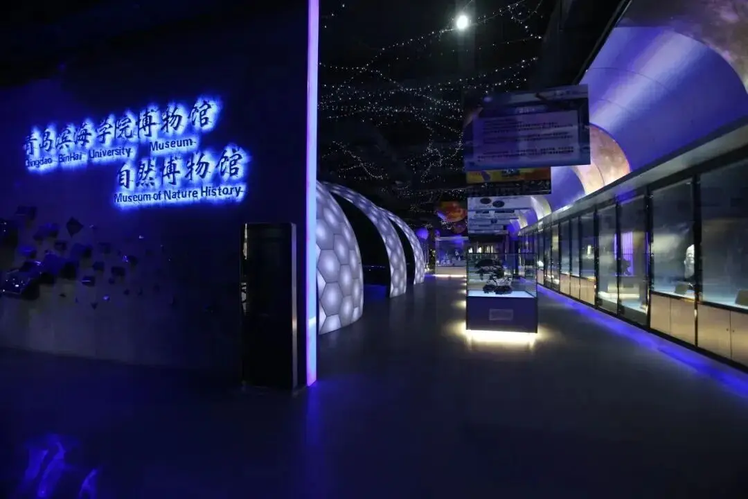 海岸旅游__海岸线旅游攻略