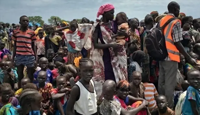 河南小伙儿在非洲是做什么的_河南小伙儿在非洲_