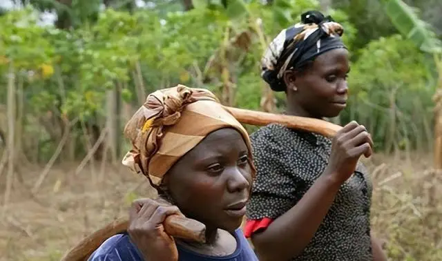 _河南小伙儿在非洲是做什么的_河南小伙儿在非洲