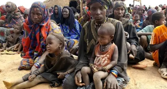 河南小伙儿在非洲是做什么的_河南小伙儿在非洲_