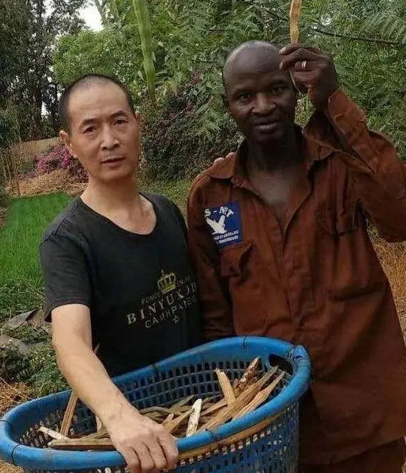 河南小伙儿在非洲是做什么的__河南小伙儿在非洲