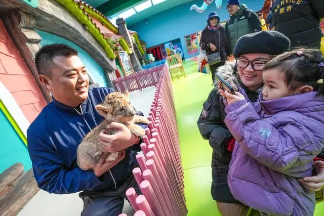 北京野生动物园春节开放时间_北京野生动物园春节_