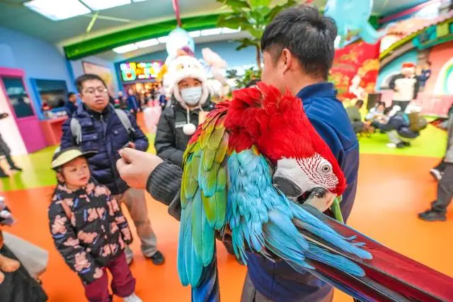 _北京野生动物园春节开放时间_北京野生动物园春节