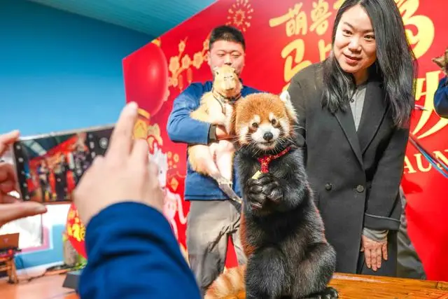 北京野生动物园春节_北京野生动物园春节开放时间_