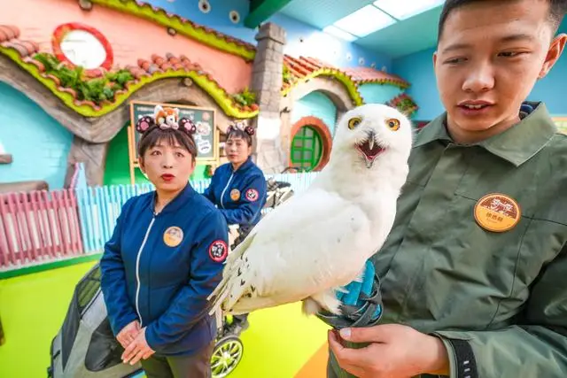 北京野生动物园春节_北京野生动物园春节开放时间_