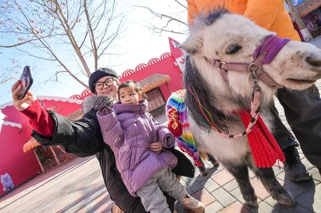 _北京野生动物园春节_北京野生动物园春节开放时间