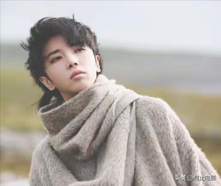 _韩红刘德华大衣哥是哪一期_韩红点评大衣哥视频