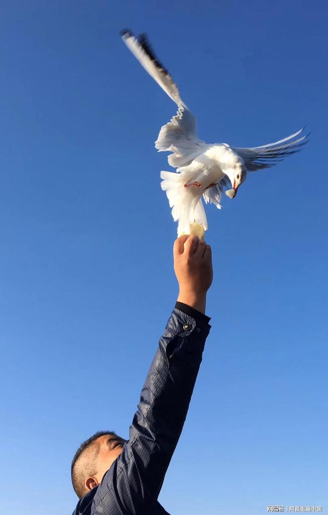 _云南四合院_云南小镇四合院出售信息