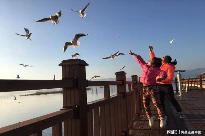 云南四合院__云南小镇四合院出售信息