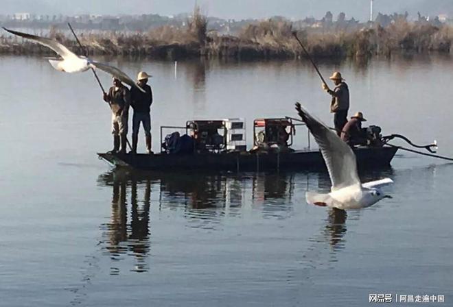 云南小镇四合院出售信息_云南四合院_