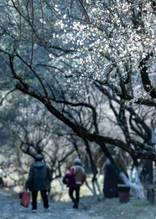 岭南古驿道岭南风物__岭南古道路线图