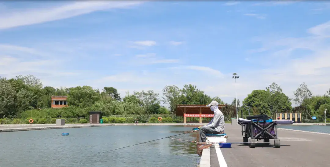 沙洋24小时天气_虫样年华完整版1小时_