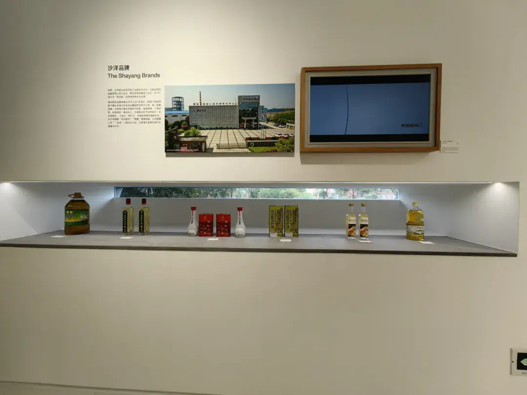 _虫样年华完整版1小时_沙洋24小时天气