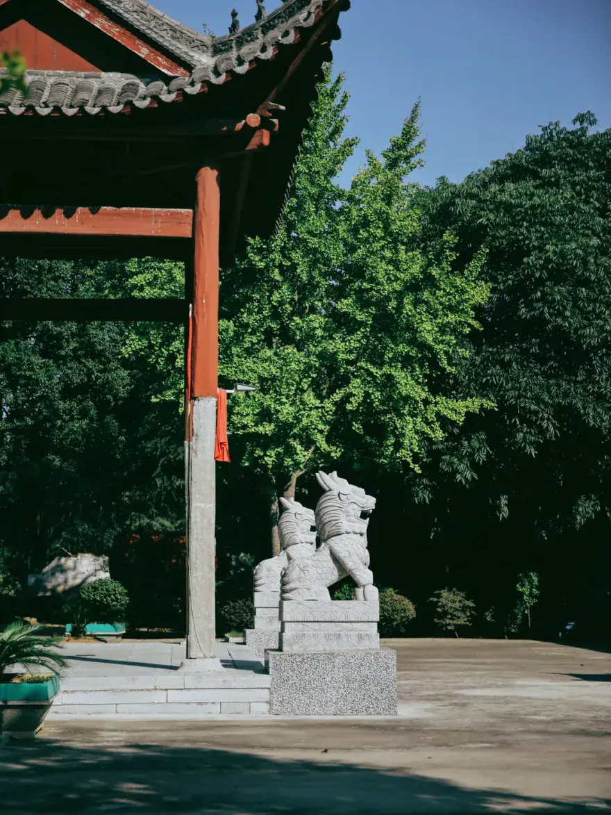 沙洋24小时天气_虫样年华完整版1小时_