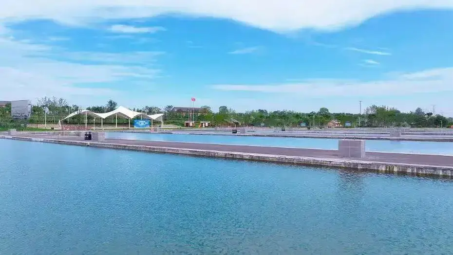 沙洋24小时天气__虫样年华完整版1小时