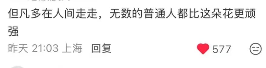 豪门贵妇是什么意思_豪门贵妇翻车后_