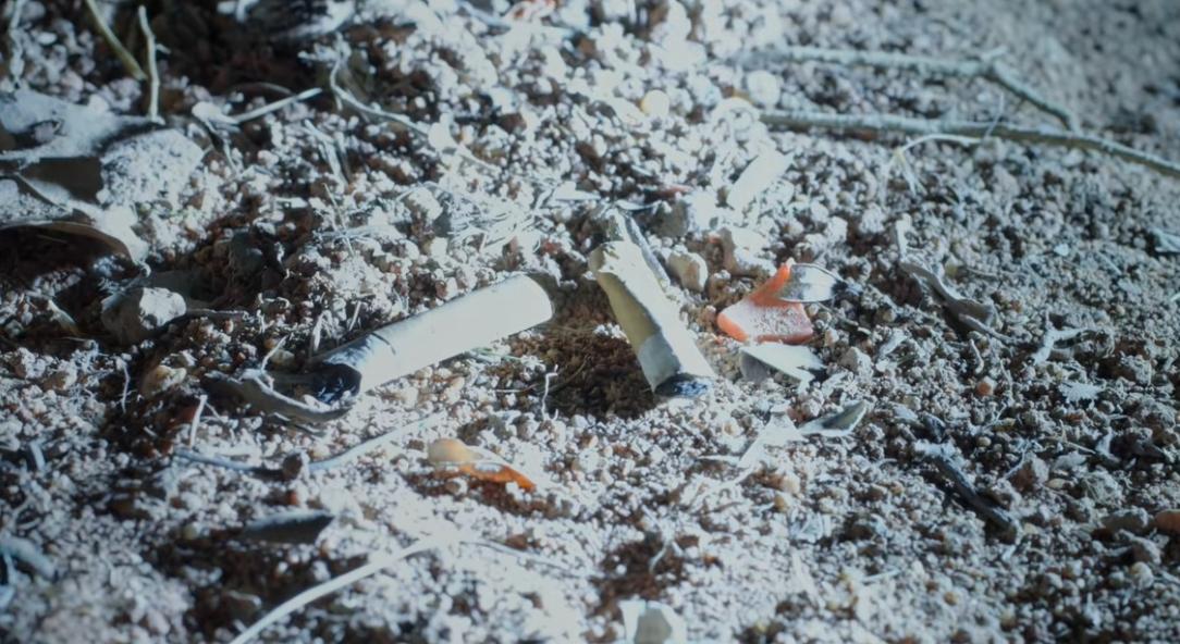 刑侦追逃电视剧_2020刑侦网剧_