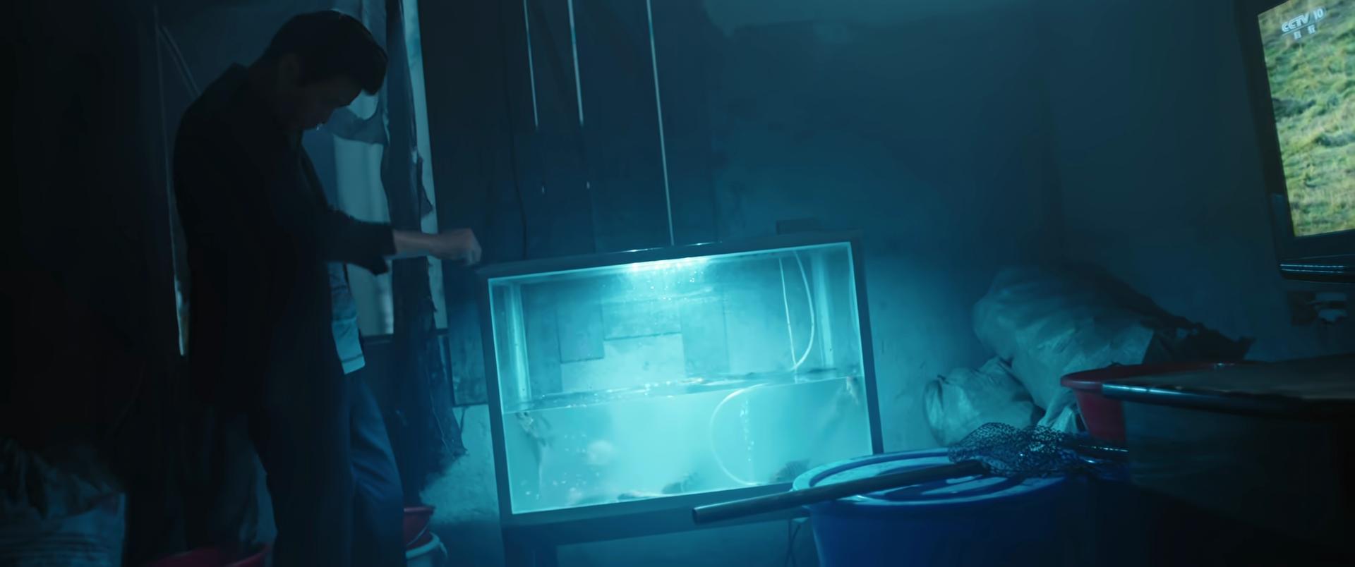 _2020刑侦网剧_刑侦追逃电视剧