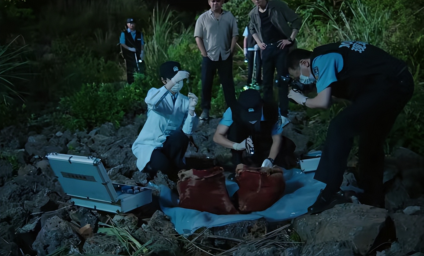 刑侦追逃电视剧__2020刑侦网剧