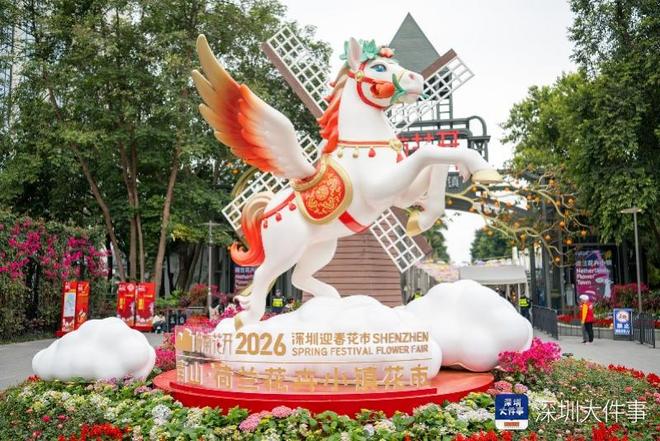 行花街，行大运！揽住富贵迎新春 跟着这份攻略“淘”靓花