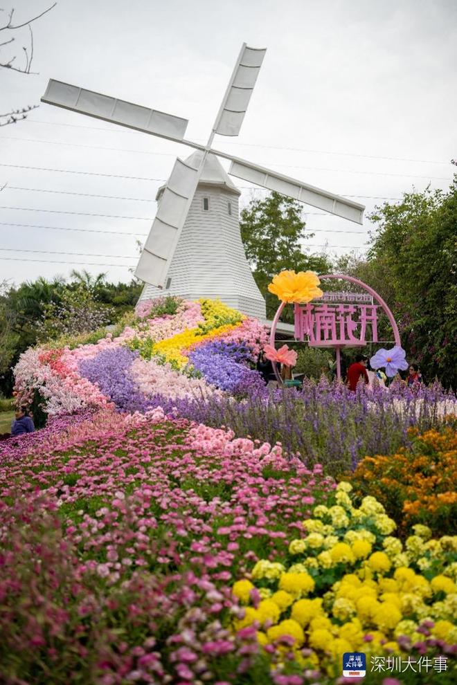 行花街，行大运！揽住富贵迎新春 跟着这份攻略“淘”靓花_行花街，行大运！揽住富贵迎新春 跟着这份攻略“淘”靓花_