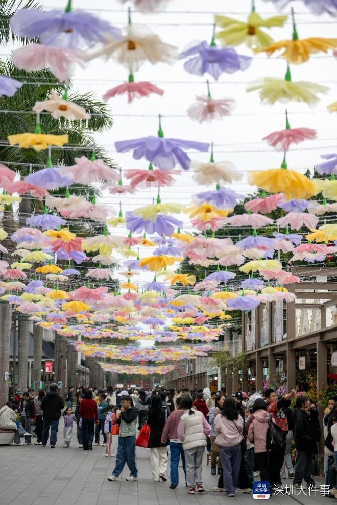 行花街，行大运！揽住富贵迎新春 跟着这份攻略“淘”靓花__行花街，行大运！揽住富贵迎新春 跟着这份攻略“淘”靓花