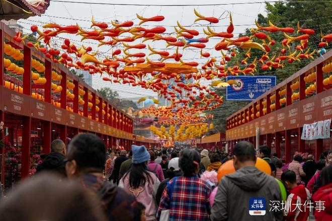_行花街，行大运！揽住富贵迎新春 跟着这份攻略“淘”靓花_行花街，行大运！揽住富贵迎新春 跟着这份攻略“淘”靓花