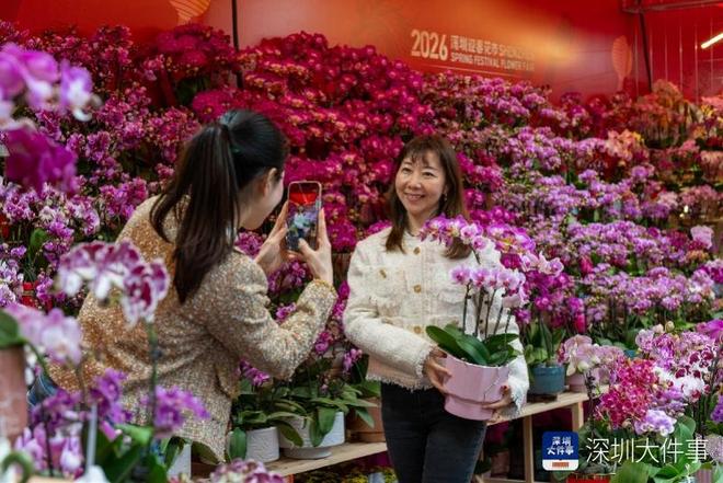 行花街，行大运！揽住富贵迎新春 跟着这份攻略“淘”靓花_行花街，行大运！揽住富贵迎新春 跟着这份攻略“淘”靓花_