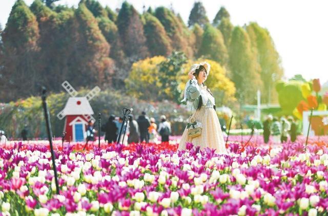 花事正浓下一句_花事正浓的意思_