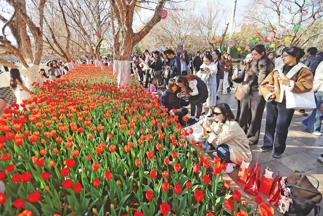 花事正浓的意思__花事正浓下一句