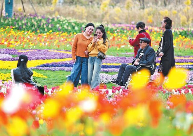 _花事正浓的意思_花事正浓下一句