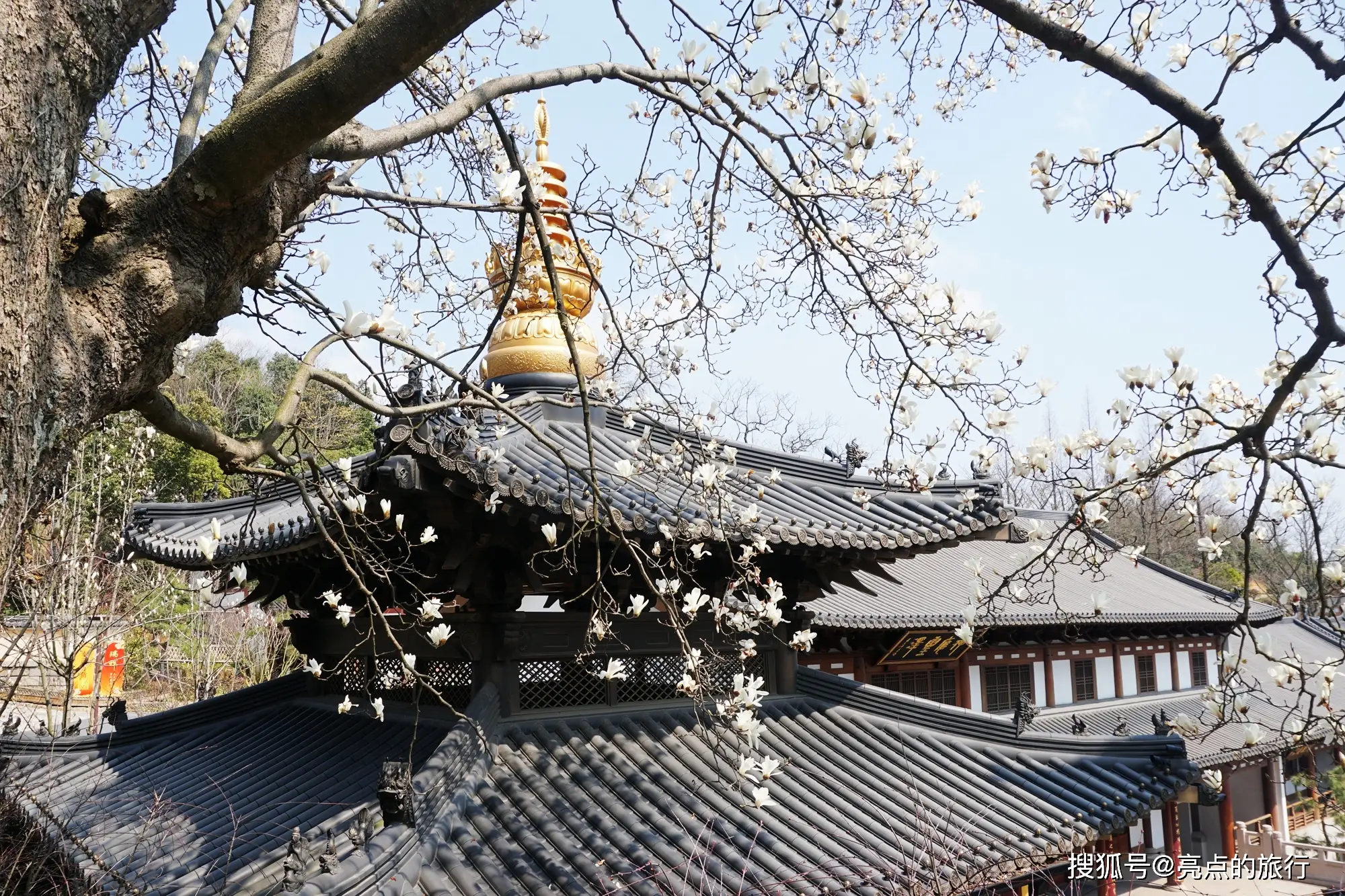 _一句春不晚，我便到了江南寻觅江南春（杭州径山寺）_一句春不晚，我便到了江南寻觅江南春（杭州径山寺）