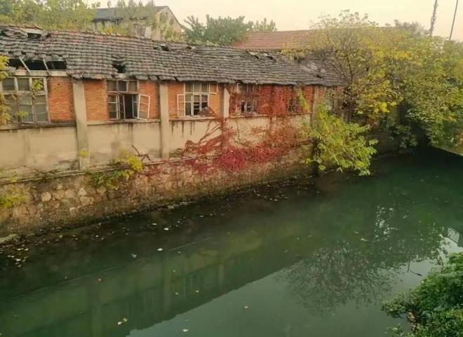 上海太平寺开门时间_太平禅寺上海_