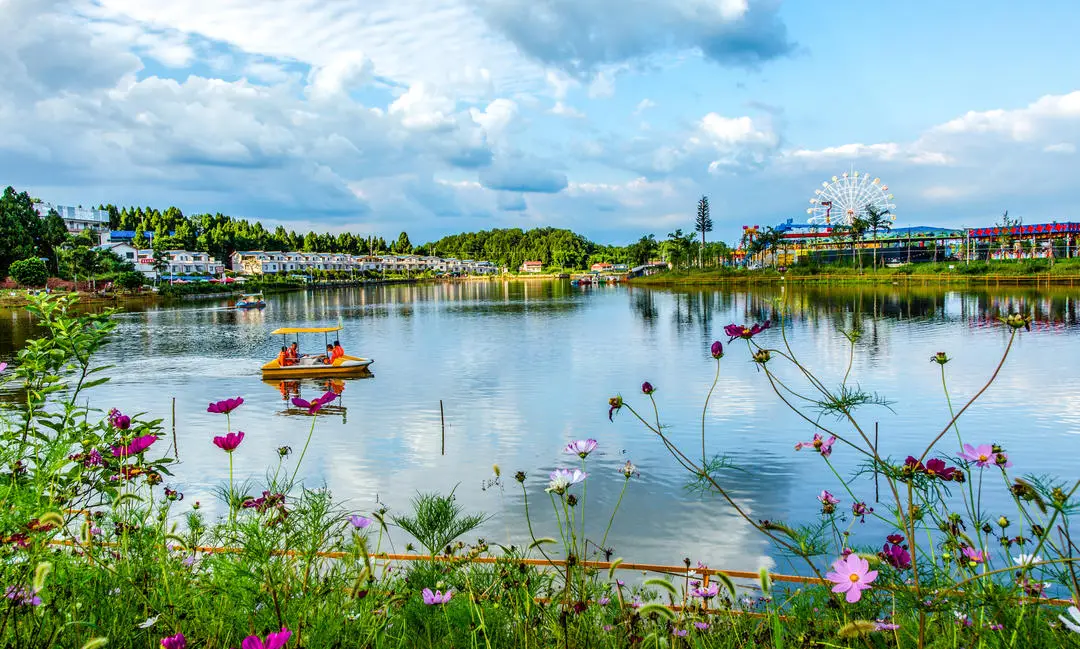 安岳县文广旅局局长杨雅茜：立足唐宋石窟，打造成渝中部特色鲜明旅游目的地丨马年文旅开新局_安岳县文广旅局局长杨雅茜：立足唐宋石窟，打造成渝中部特色鲜明旅游目的地丨马年文旅开新局_