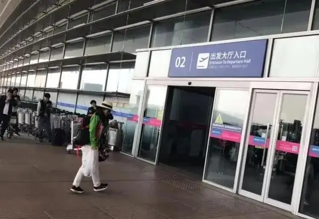 _旅行坐飞机打一字谜_选择乘飞机外出旅游的人的数量
